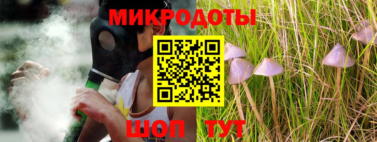 Псилоцибиновые грибы мухоморы Дзержинск