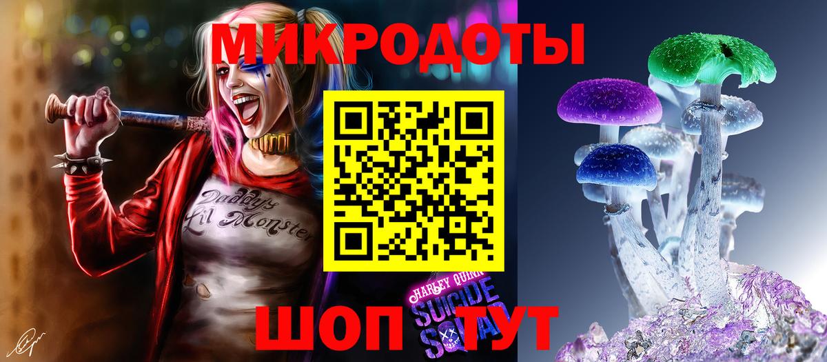 Псилоцибиновые грибы Psilocybe  Вход с VPN  Дзержинск 